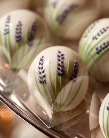 WhatsApp Image 2025-08-27 at 20.15.42